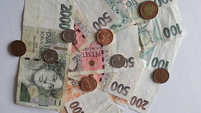 česká koruna
